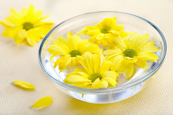 stock image Yellow flowers in glass bowl