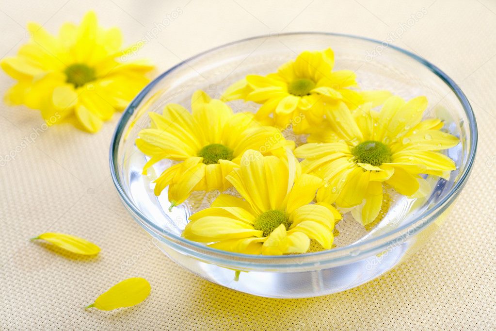 Yellow flowers in glass bowl — Stock Photo © Aivolie 5224154