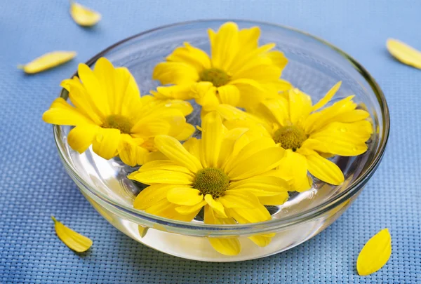 stock image Yellow daisies in glass bowl