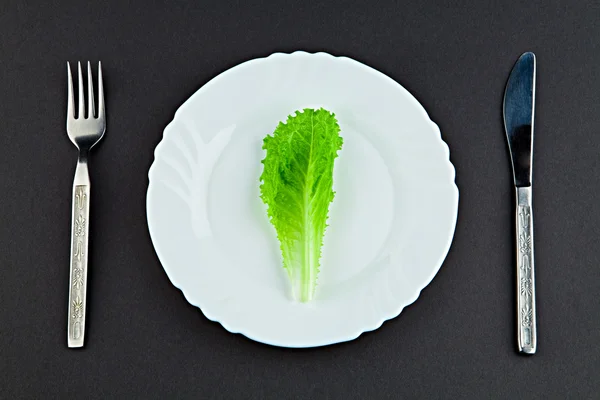 Salata yaprağı — Stok fotoğraf