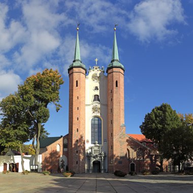 Cathedral in Oliwa clipart