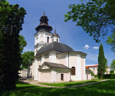 The old cathedral in Zamosc, Poland. clipart