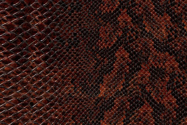 스네이크 스킨 패턴 — 스톡 사진