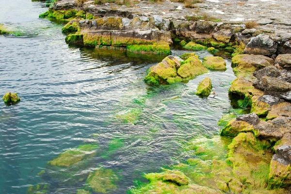 Камни Берегу Озера — стоковое фото