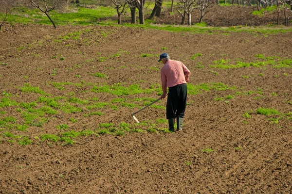 Stock image Man working