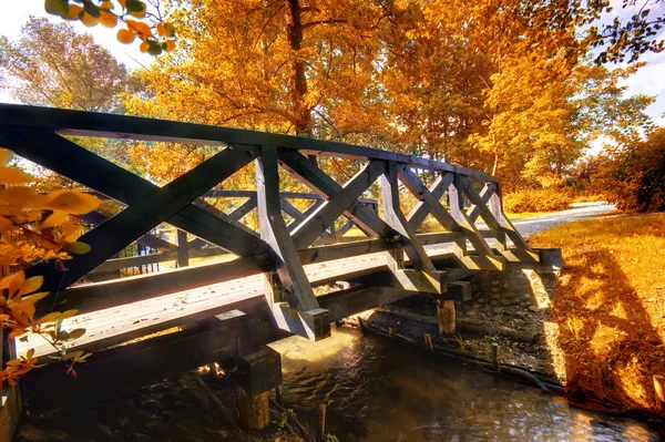 Podzimní park — Stock fotografie