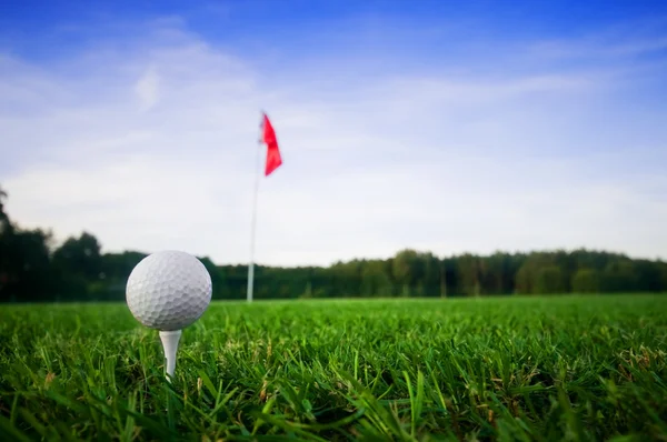 Golf veld — Stockfoto