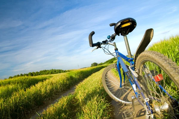 Велосипед на літньому полі — стокове фото