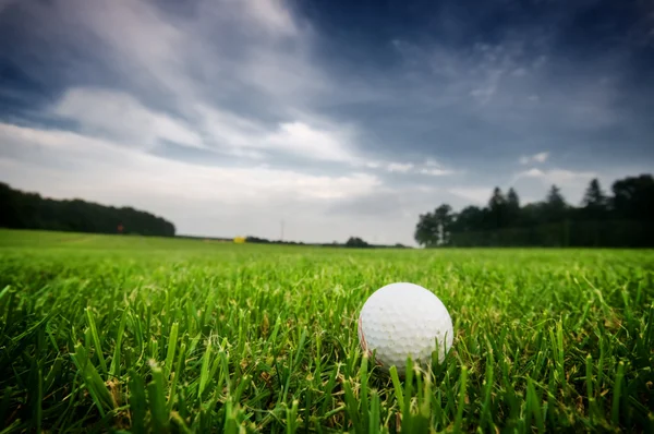 Golf topu alan — Stok fotoğraf