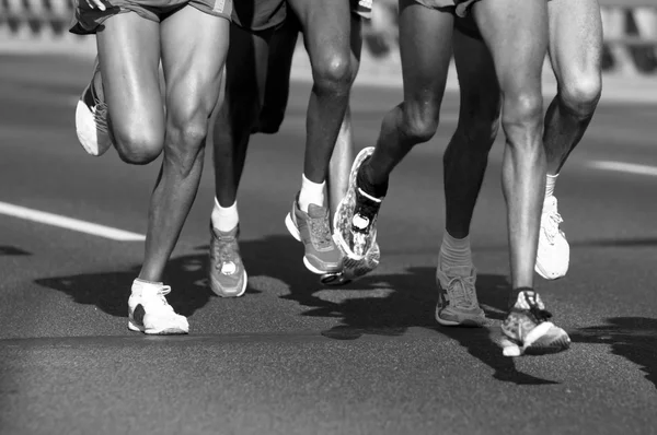 Maraton futók — Stock Fotó