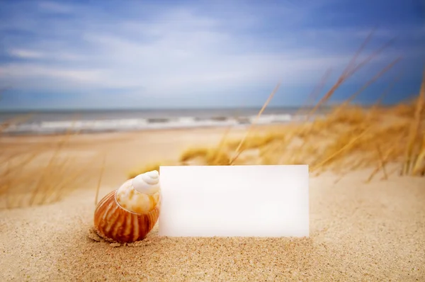 Shell and a blank card on the beach — Stock Photo, Image