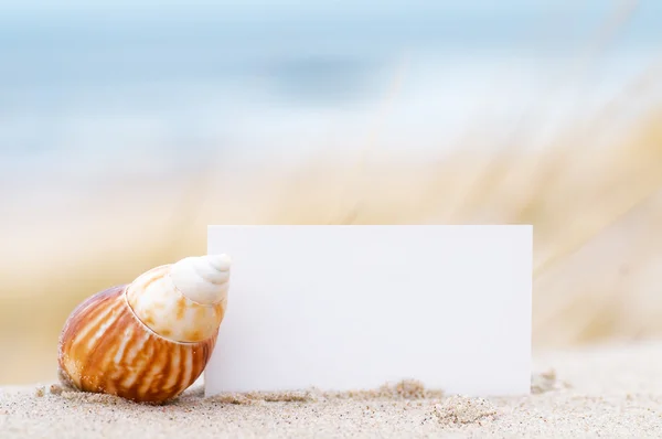 Shell and a blank card on the beach — Stock Photo, Image