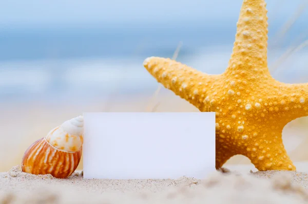 贝壳和在海滩上的空白名片 — 图库照片