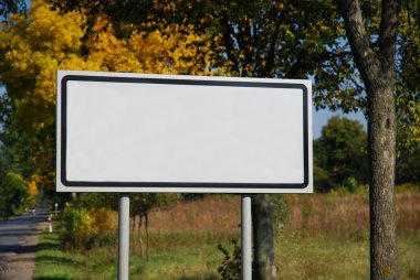 White signal in a forest