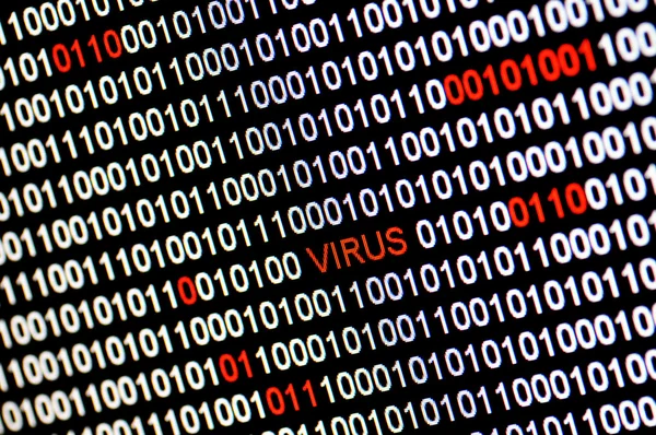Closeup of binary code infected by computer virus. — Stock Photo, Image