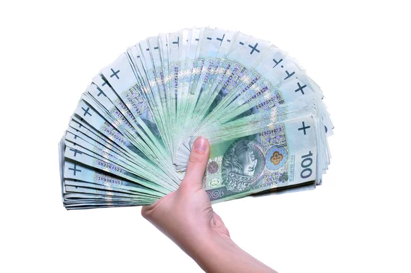 Hand Met Vele 100 Zloty Pln Bankbiljetten Geïsoleerd Witte Achtergrond — Stockfoto
