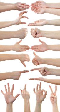 Set of many different hands over white background clipart