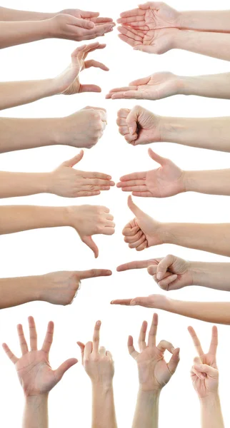 Set of many different hands over white background — Stock Photo, Image