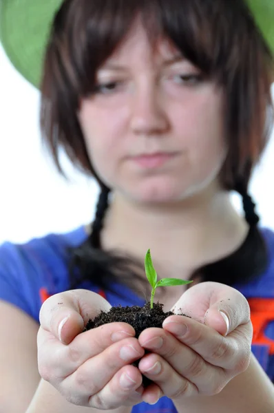 Jardineiro com planta em mãos isoladas — Fotografia de Stock