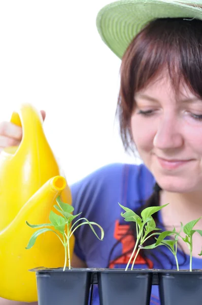 Jonge vrouw met gieter geïsoleerd planten water geven — Stockfoto