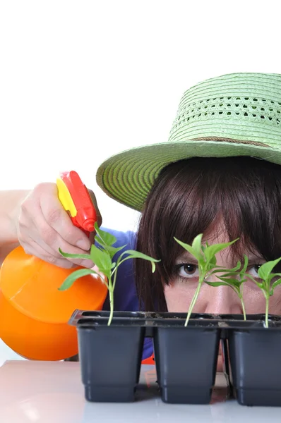 Young woman spraying water onto plants isolated — Stock Photo, Image