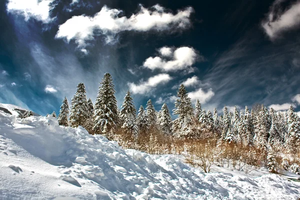 Verse sneeuw — Stockfoto