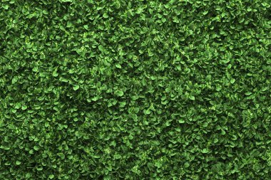 Green box hedge background with green leaves clipart