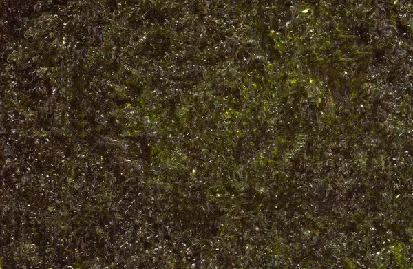 高分辨率海藻紫菜纹理背景 — 图库照片