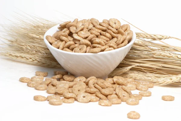 stock image Cereal and Wheat ears on a white background