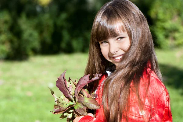 可爱的小女孩在秋天公园 — 图库照片