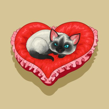 Siam kitty kırmızı kalp şeklinde yastık üzerinde yalan söylüyor.
