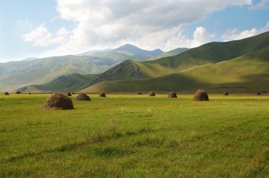 Hay on a green field clipart