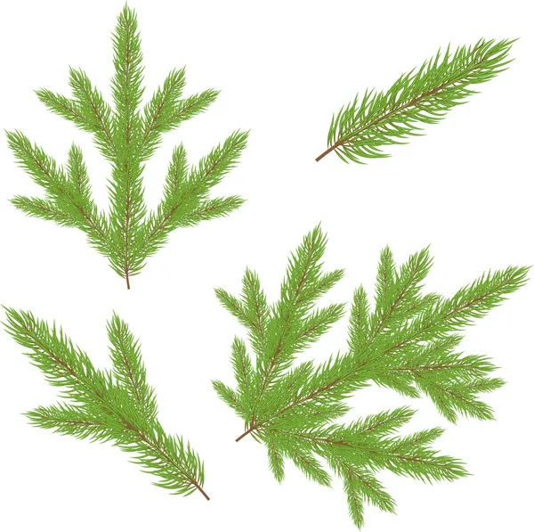 Vánoční kožešin strom. vektorové ilustrace — Stockový vektor