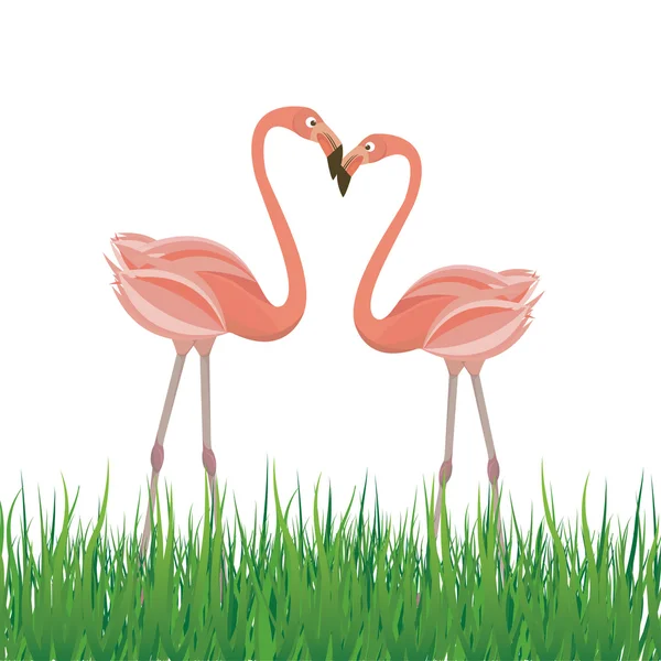 Twee flamingo in liefde. vectorillustratie — Stockvector