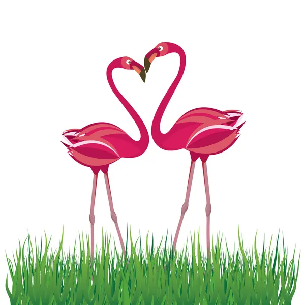 Два Влюбленных Розовых Фламинго Векторная Иллюстрация — стоковый вектор