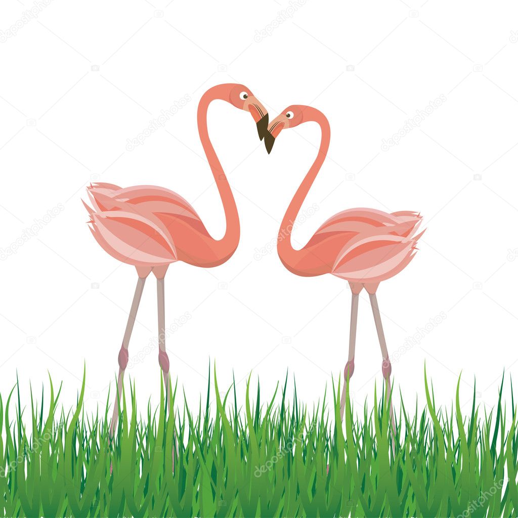 Two flamingo in love. Vector illustration