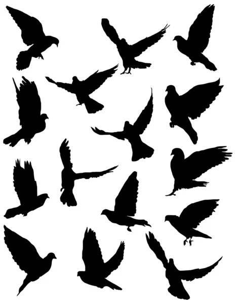 Pigeon silhouette Stock Photos, Royalty Free Pigeon silhouette Images ...