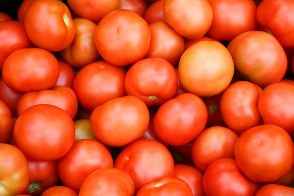 stock image Tomato