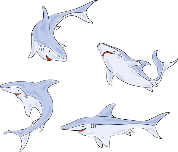 Quatro tubarões — Fotografia de Stock