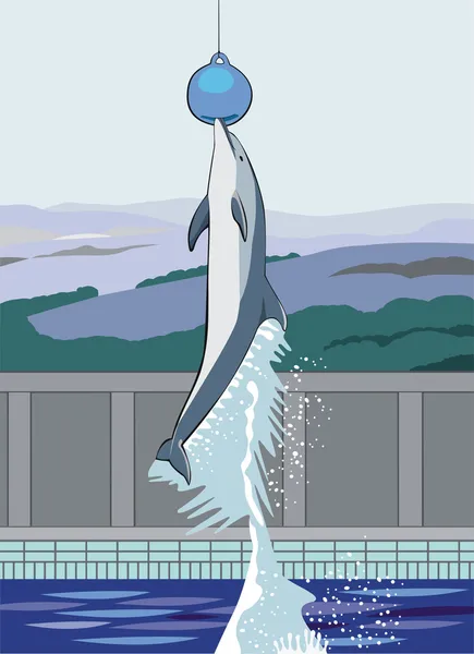 Delfine — Stockvektor