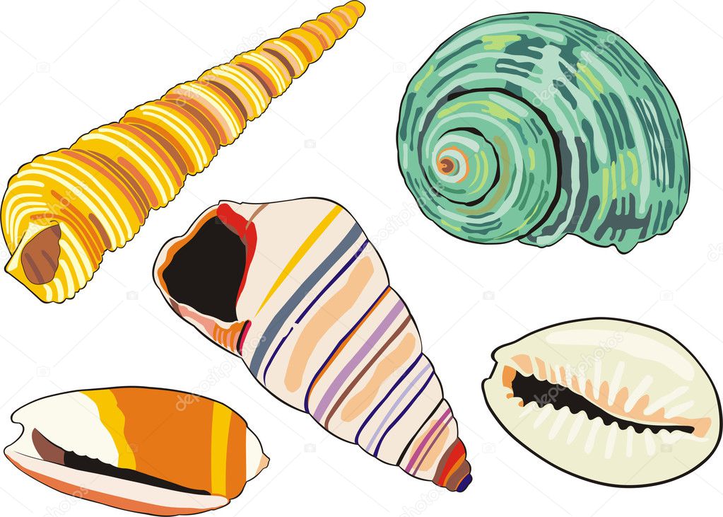 Sea-shells