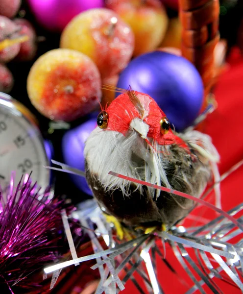 Uccello decorativo — Foto Stock