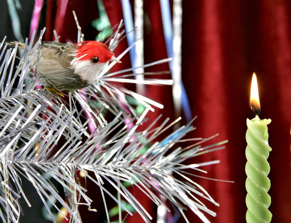 Decorative candle and birdy — Stock Photo, Image