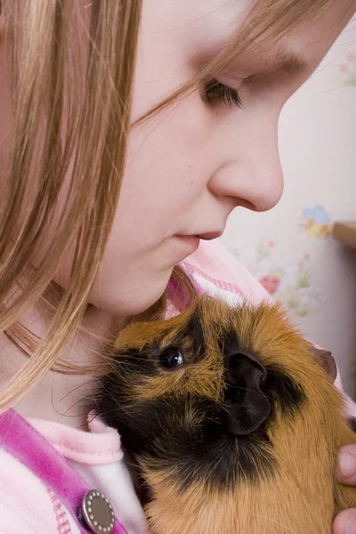 Little girl and her guinea pig — Stock Photo, Image