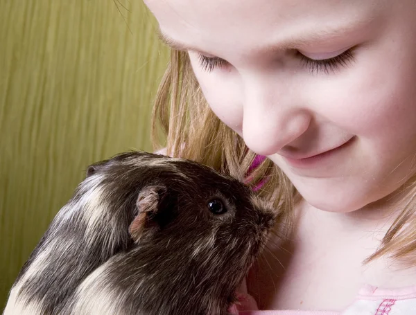 어린 소녀와 그녀의 기니 돼지 — 스톡 사진