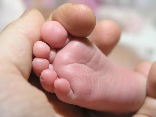 Pé recém-nascido na mão dos pais — Fotografia de Stock