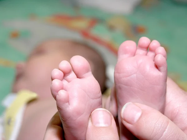Nyfödd baby fötter i föräldrar händer — Stockfoto