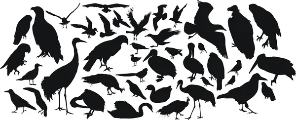 Kuş silhouettes — Stok Vektör