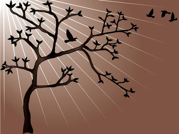 Desenho de árvore vetorial abstrato — Vetor de Stock