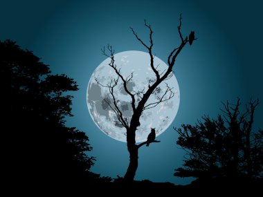 Moonlight background clipart